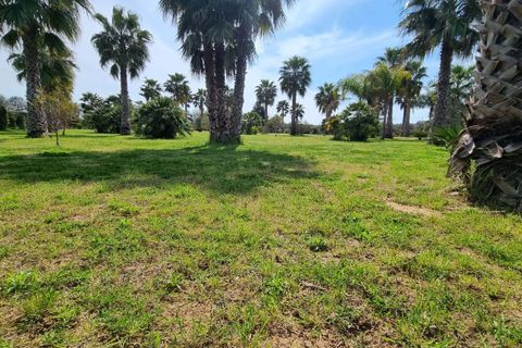 Villa a Mesagne, Brindisi, Mesagne - € 385.000 | Ref: RH-27074-property-1172723 - foto 15