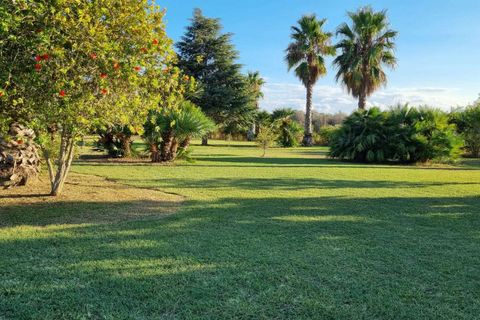 Villa a Mesagne, Brindisi, Mesagne - € 385.000 | Ref: RH-27074-property-1172723 - foto 16