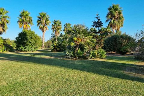 Villa a Mesagne, Brindisi, Mesagne - € 385.000 | Ref: RH-27074-property-1172723 - foto 18