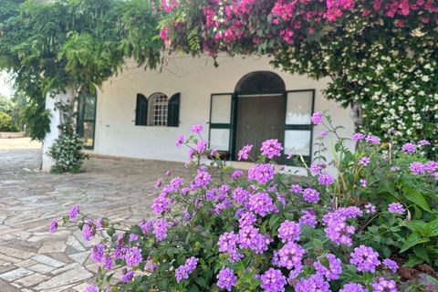 Villa i Ostuni, Brindisi, Ostuni - € 450.000 | Ref: RH-27151-property-1172764 - foto 3