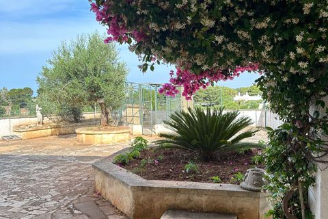 Villa i Ostuni, Brindisi, Ostuni - € 450.000 | Ref: RH-27151-property-1172764 - foto 10