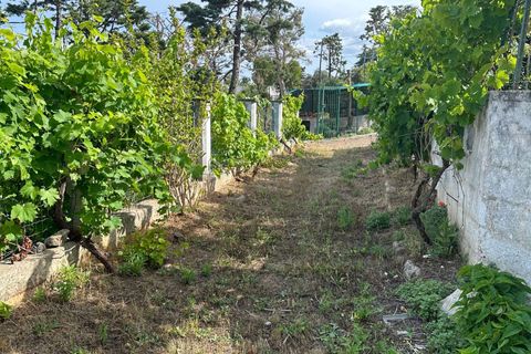 Villa i Ostuni, Brindisi, Ostuni - € 450.000 | Ref: RH-27151-property-1172764 - foto 11