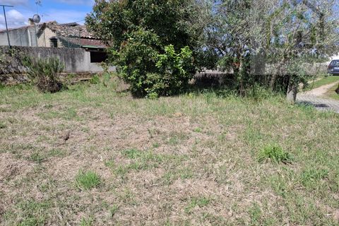 Villa i Tabua, Coimbra, Tabua - € 76.000 | Ref: 717MM - foto 13