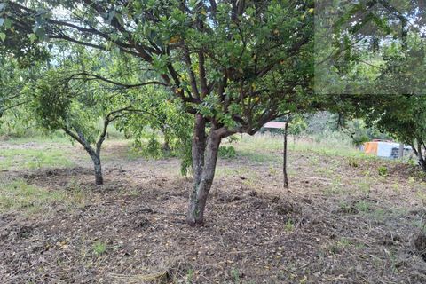 Villa i Tabua, Coimbra, Tabua - € 76.000 | Ref: 717MM - foto 15