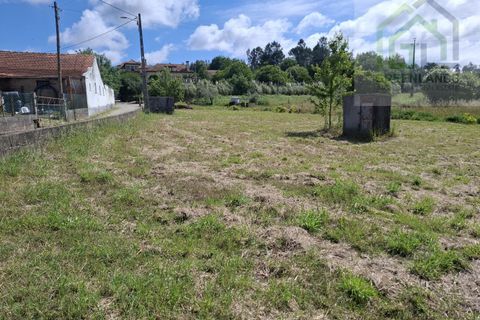 Villa i Tabua, Coimbra, Tabua - € 76.000 | Ref: 717MM - foto 19