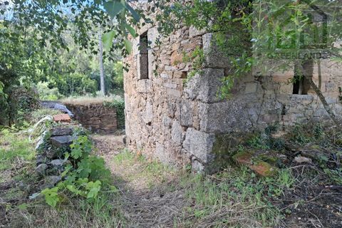 Villa i Tabua, Coimbra, Tabua - € 76.000 | Ref: 717MM - foto 21