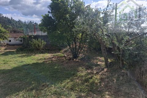 Villa em Tabua, Coimbra, Tabua - € 76.000 | Ref: 717MM - foto 49