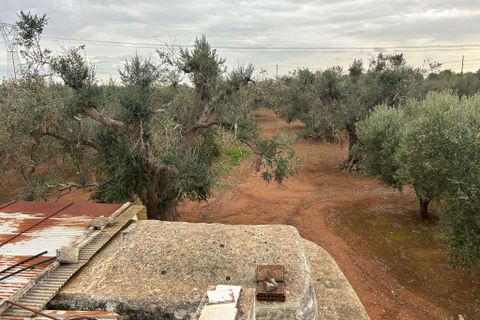 Villa a Latiano, Brindisi, Latiano - € 63.000 | Ref: RH-28475-property-1173078 - foto 3