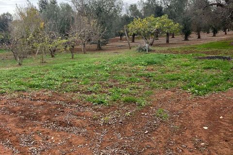 Villa a Latiano, Brindisi, Latiano - € 63.000 | Ref: RH-28475-property-1173078 - foto 8
