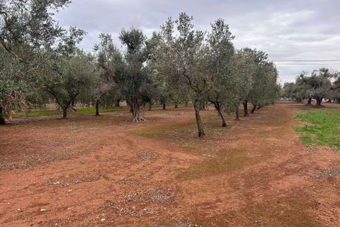 Villa a Latiano, Brindisi, Latiano - € 63.000 | Ref: RH-28475-property-1173078 - foto 9
