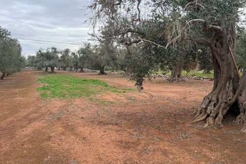 Villa a Latiano, Brindisi, Latiano - € 63.000 | Ref: RH-28475-property-1173078 - foto 10