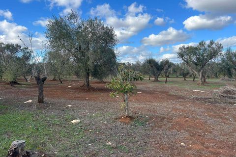 Villa a Latiano, Brindisi, Latiano - € 32.000 | Ref: RH-28493-property-1173091 - foto 10