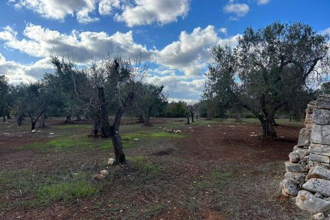 Villa a Latiano, Brindisi, Latiano - € 32.000 | Ref: RH-28493-property-1173091 - foto 11