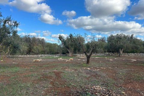 Villa a Latiano, Brindisi, Latiano - € 32.000 | Ref: RH-28493-property-1173091 - foto 12