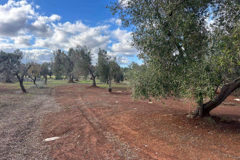 Villa a Latiano, Brindisi, Latiano - € 32.000 | Ref: RH-28493-property-1173091 - foto 13