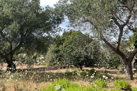 Farm hus i Ostuni, Brindisi, Ostuni - € 180.000 | Ref: RH-28513-property-1173105 - foto 17
