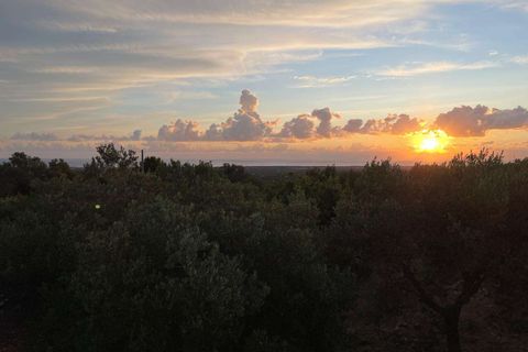 Farm hus i Ostuni, Brindisi, Ostuni - € 180.000 | Ref: RH-28513-property-1173105 - foto 19