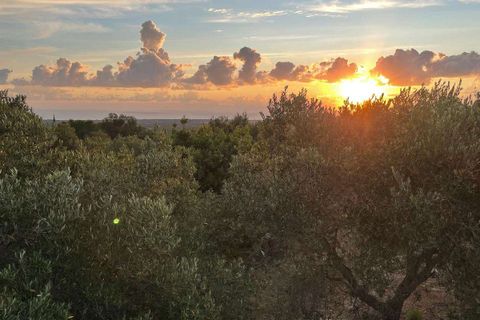 Farm hus i Ostuni, Brindisi, Ostuni - € 180.000 | Ref: RH-28513-property-1173105 - foto 20