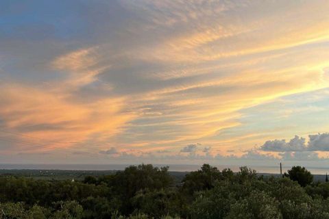 Farm hus i Ostuni, Brindisi, Ostuni - € 180.000 | Ref: RH-28513-property-1173105 - foto 21