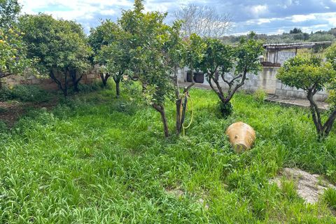 Villa i Carovigno, Brindisi, Carovigno - € 649.000 | Ref: RH-29515-property-1173245 - foto 13