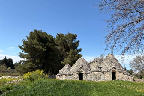 Villa i Alberobello, Bari, Alberobello - € 175.000 | Ref: RH-29674-property-1173273 - foto 7