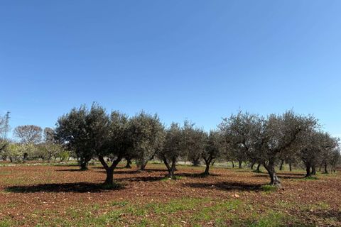 Villa i Alberobello, Bari, Alberobello - € 175.000 | Ref: RH-29674-property-1173273 - foto 8
