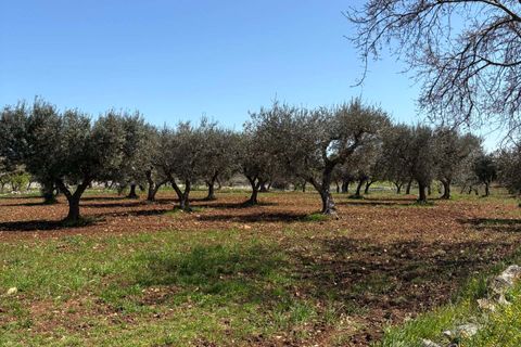 Villa i Alberobello, Bari, Alberobello - € 175.000 | Ref: RH-29674-property-1173273 - foto 9