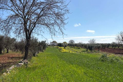 Villa i Alberobello, Bari, Alberobello - € 175.000 | Ref: RH-29674-property-1173273 - foto 10