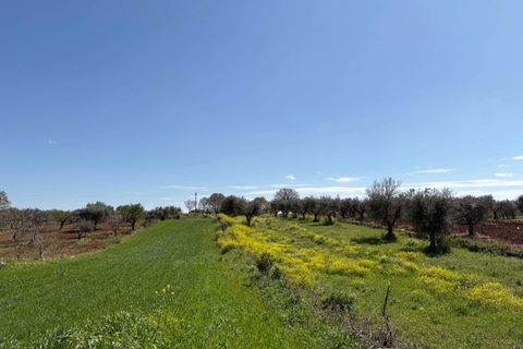 Villa i Alberobello, Bari, Alberobello - € 175.000 | Ref: RH-29674-property-1173273 - foto 11
