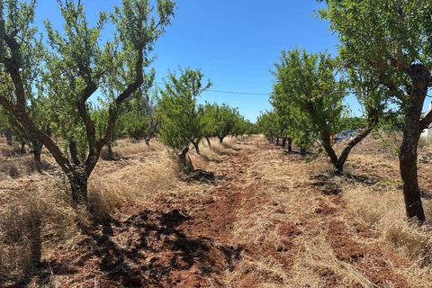 Villa i Brindisi, Brindisi, Brindisi - € 115.000 | Ref: RH-29934-property-1173364 - foto 5