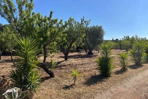 Villa i Ostuni, Brindisi, Ostuni - € 210.000 | Ref: RH-30021-property-1173400 - foto 18