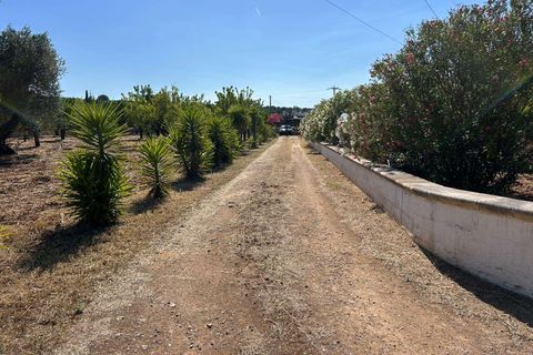 Villa i Ostuni, Brindisi, Ostuni - € 210.000 | Ref: RH-30021-property-1173400 - foto 19