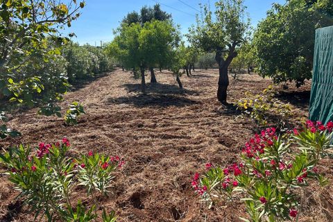 Villa i Ostuni, Brindisi, Ostuni - € 210.000 | Ref: RH-30021-property-1173400 - foto 20