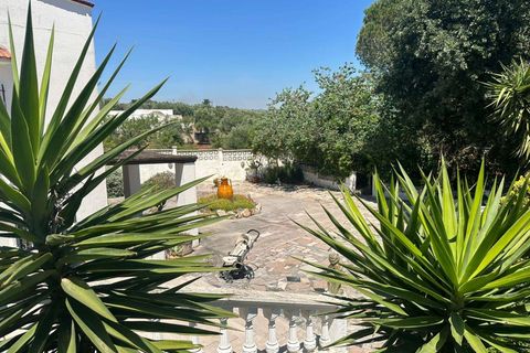 Villa i Ostuni, Brindisi, Ostuni - € 340.000 | Ref: RH-30046-property-1173424 - foto 20