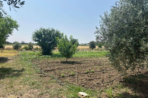 Farm hus i Brindisi, Brindisi, Brindisi - € 579.000 | Ref: RH-30146-property-1173478 - foto 3