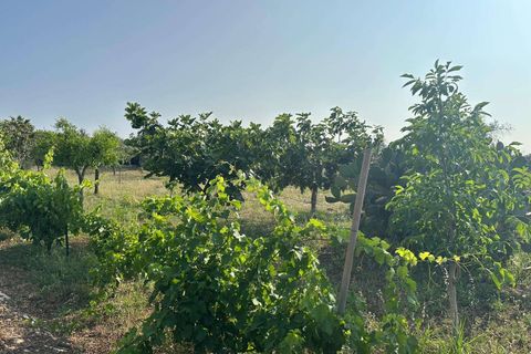 Villa i Carovigno, Brindisi, Carovigno - € 435.000 | Ref: RH-30150-property-1173517 - foto 6