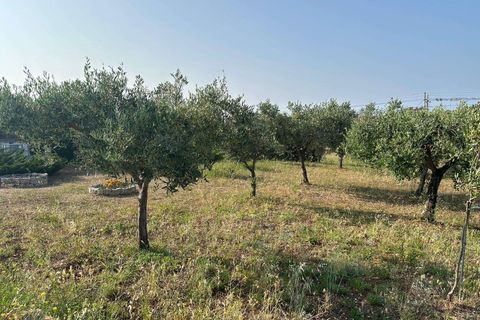 Villa i Carovigno, Brindisi, Carovigno - € 435.000 | Ref: RH-30150-property-1173517 - foto 7