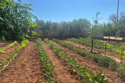 Villa i Brindisi, Brindisi, Brindisi - € 169.000 | Ref: RH-30555-property-1173642 - foto 11