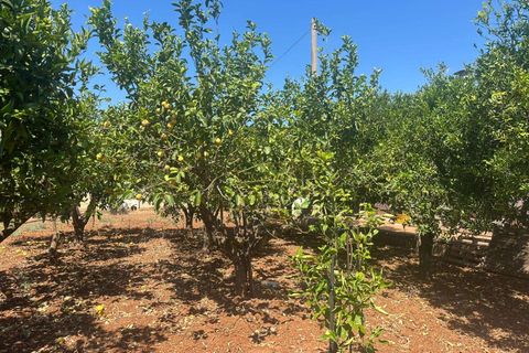 Villa i Brindisi, Brindisi, Brindisi - € 169.000 | Ref: RH-30555-property-1173642 - foto 12