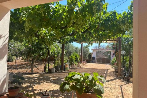 Villa i Brindisi, Brindisi, Brindisi - € 169.000 | Ref: RH-30555-property-1173642 - foto 15