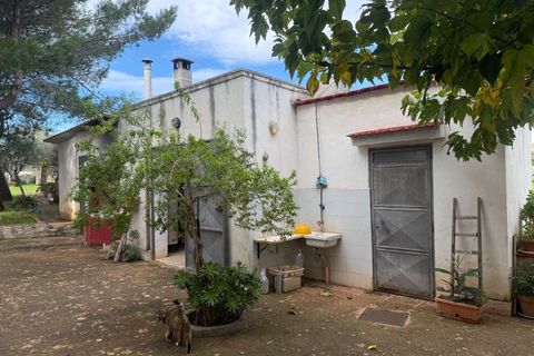 Villa i Ostuni, Brindisi, Ostuni - € 250.000 | Ref: RH-31259-property-1173874 - foto 10