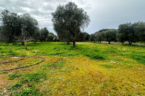 Villa i Carovigno, Brindisi, Carovigno - € 275.000 | Ref: RH-31333-property-1173900 - foto 5
