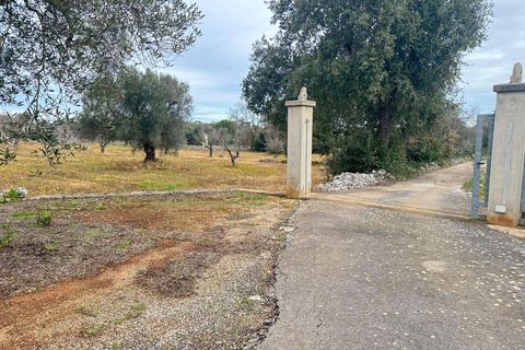 Villa i Carovigno, Brindisi, Carovigno - € 275.000 | Ref: RH-31333-property-1173900 - foto 7