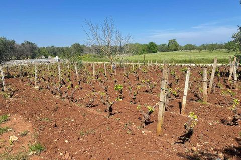 Farm hus i Carovigno, Brindisi, Carovigno - € 75.000 | Ref: RH-31531-property-1173976 - foto 8