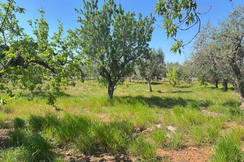 Farm hus i Carovigno, Brindisi, Carovigno - € 75.000 | Ref: RH-31531-property-1173976 - foto 9