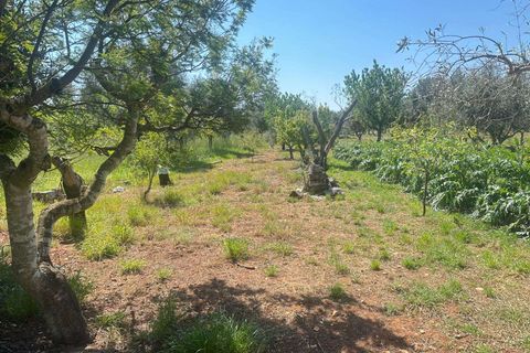 Farm hus i Carovigno, Brindisi, Carovigno - € 75.000 | Ref: RH-31531-property-1173976 - foto 11