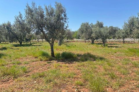 Farm hus i Carovigno, Brindisi, Carovigno - € 75.000 | Ref: RH-31531-property-1173976 - foto 13