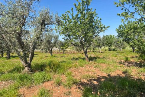 Farm hus i Carovigno, Brindisi, Carovigno - € 75.000 | Ref: RH-31531-property-1173976 - foto 14