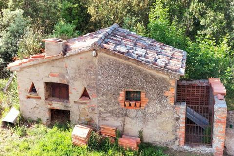Villa a Panicale, Perugia, Panicale - € 398.000 | Ref: PN6228M-1174018 - foto 25