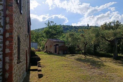 Villa a Panicale, Perugia, Panicale - € 398.000 | Ref: PN6228M-1174018 - foto 26